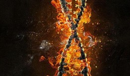 燃烧DNA在线观看,揭秘基因燃烧的奥秘与未来